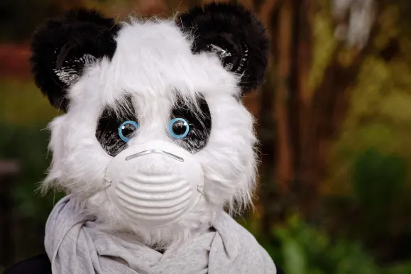 Bet9 Casino Stuðningur